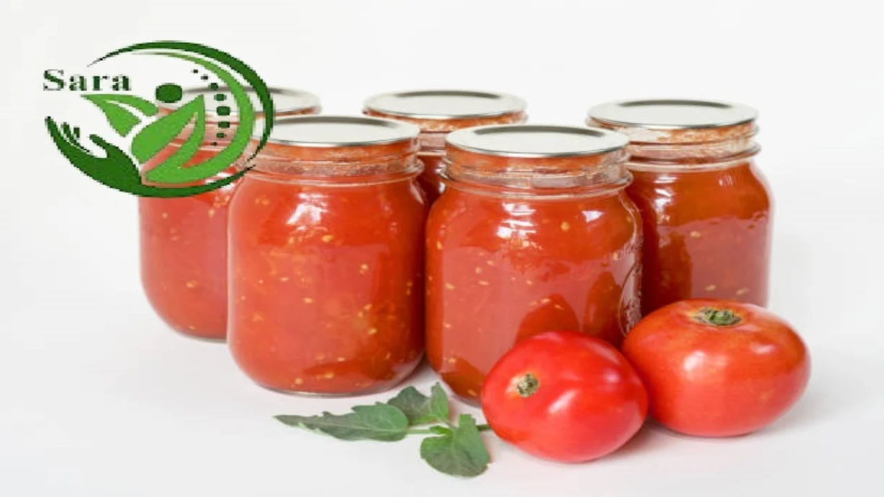  Canned Tomatoes Exporter from Egypt